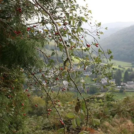 Hébergement de vacances Ardenne Mini *